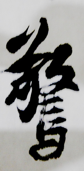 DSC02682.jpg