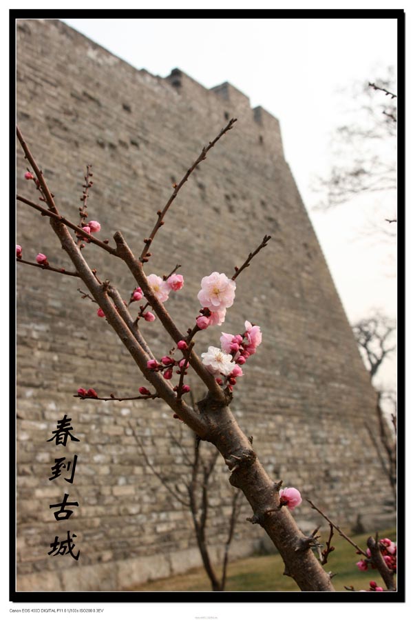IMG_2289副本.jpg