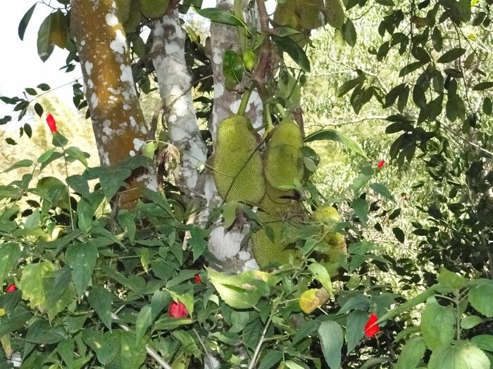 DSC01146.jpg