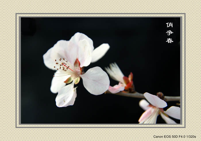 IMG_0135副本_conew1.jpg
