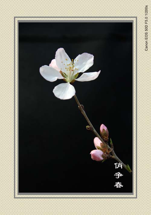 IMG_0140副本_conew1.jpg