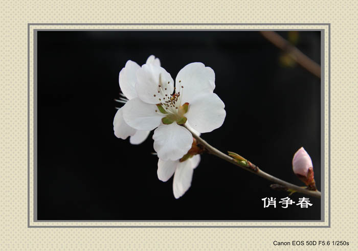 IMG_0161副本_conew1.jpg