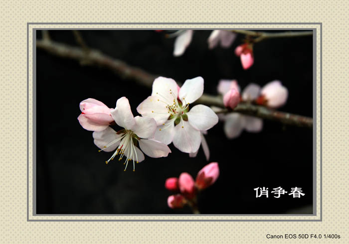 IMG_0171副本_conew1.jpg