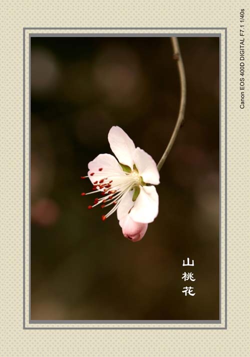 IMG_7369副本_conew1.jpg