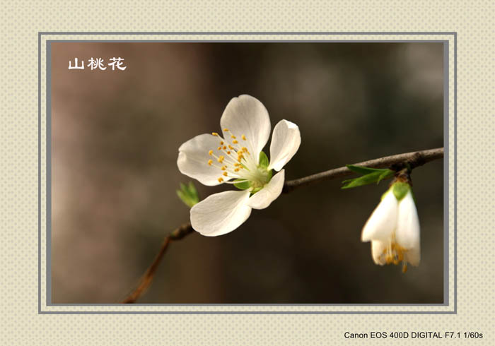 IMG_7373副本_conew2.jpg