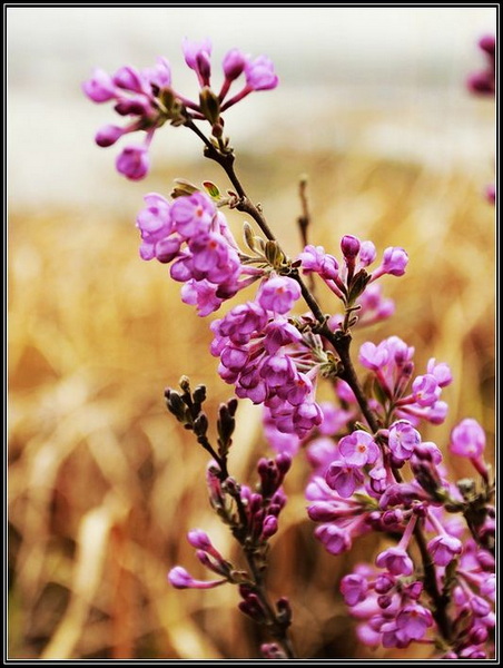 XTLTUEA)AS~`D}`KW]$PPT4.jpg