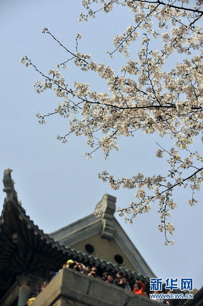 rdn_4d8fe056785ae.jpg