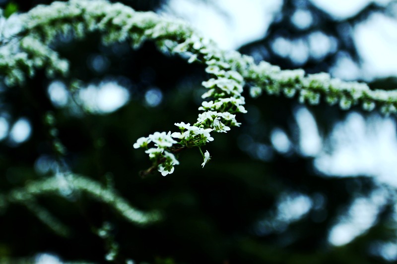 IMG_8407.jpg