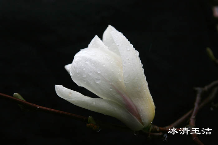 IMG_7744副本.jpg