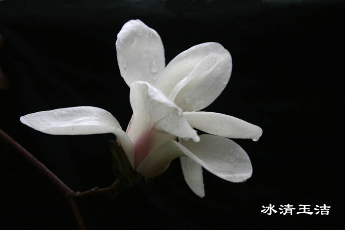 IMG_7749副本.jpg