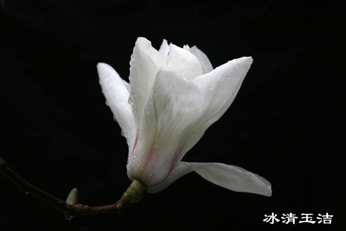 IMG_7755副本.jpg