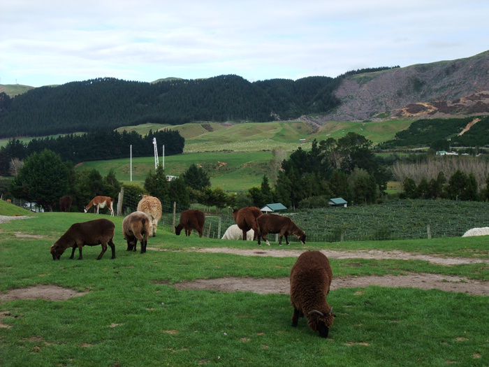 DSCF5190.jpg