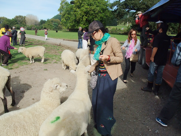 DSCF5172.jpg