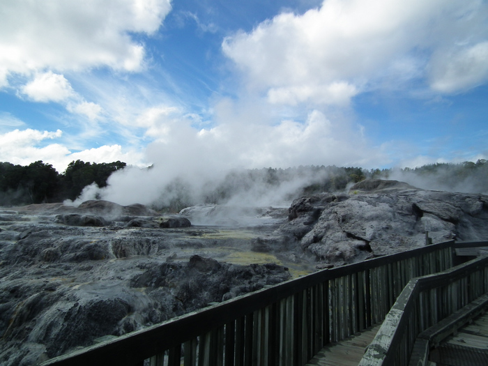 DSCF2397.jpg