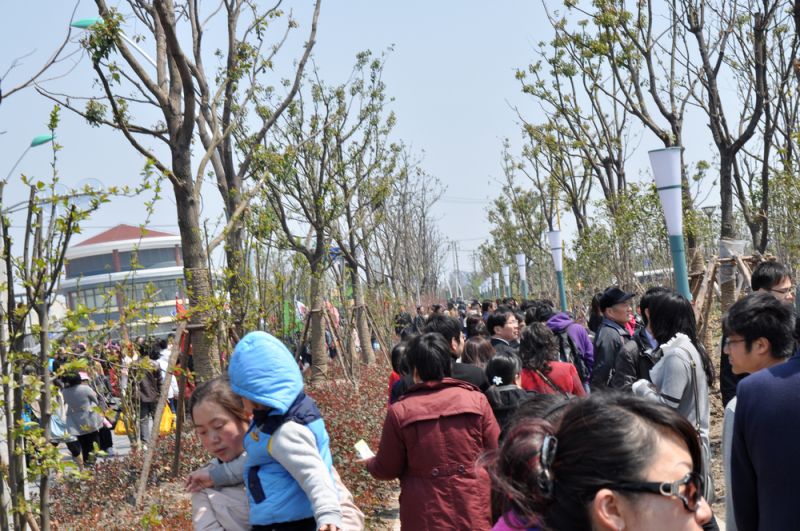 公园外围.jpg