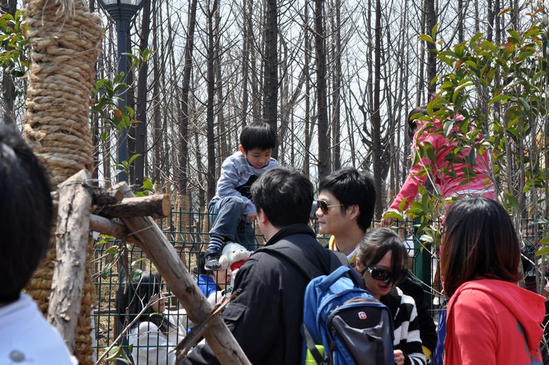 孩子也上阵.jpg