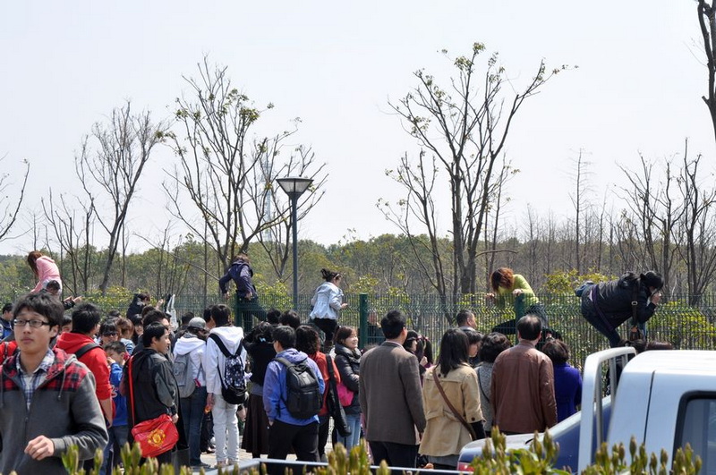 女中豪杰.jpg