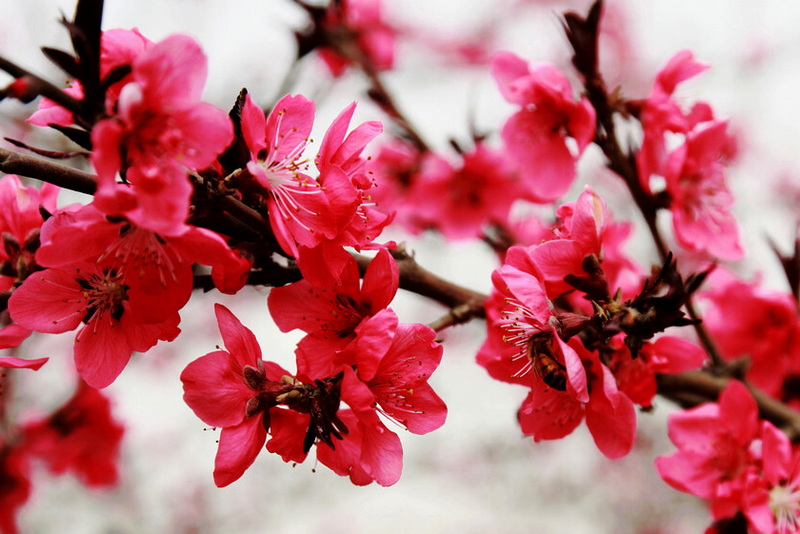 DPP_0028缩.jpg