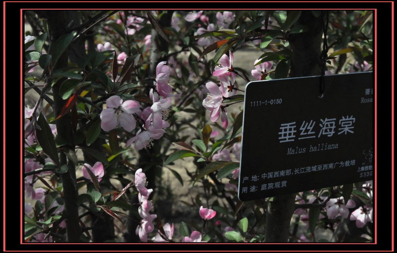 DSC_0303.jpg