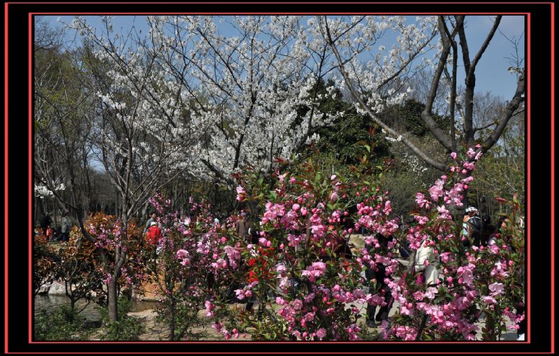 DSC_0306.jpg