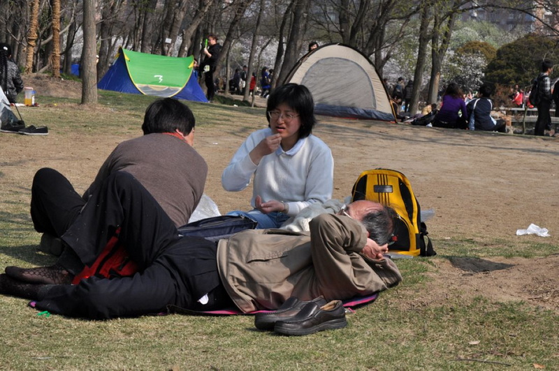 DSC_0335.jpg