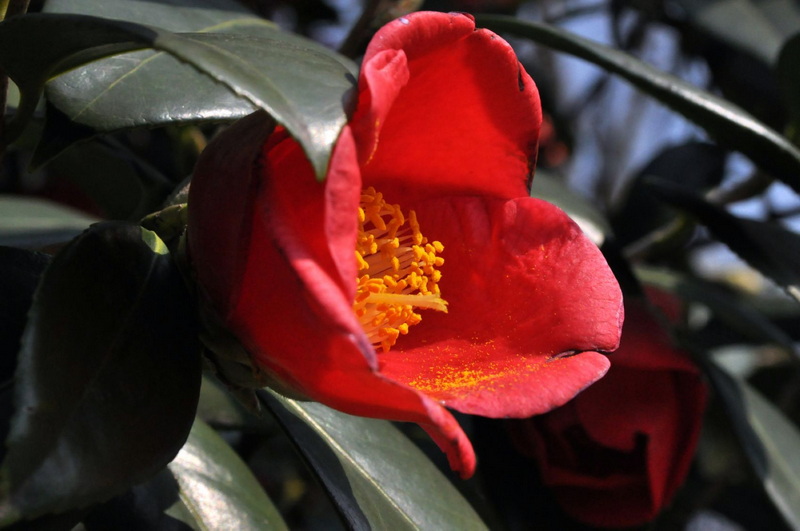 DSC_0347.jpg