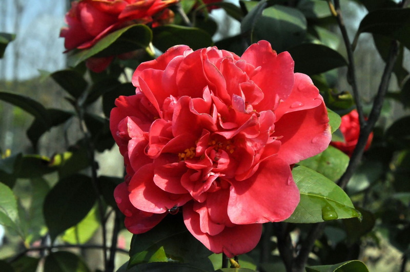 DSC_0349.jpg