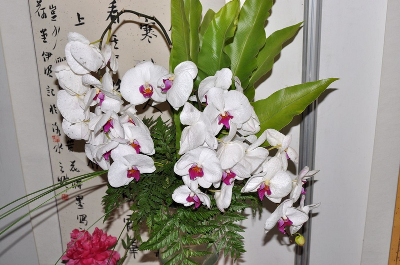 插花