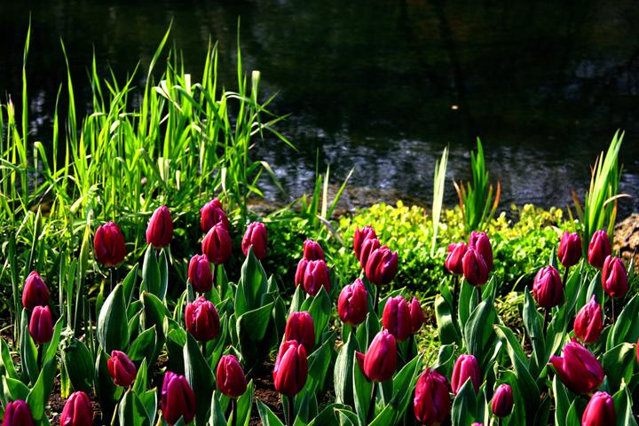IMG_8435.JPG