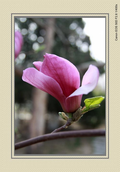 IMG_1053_conew1.jpg