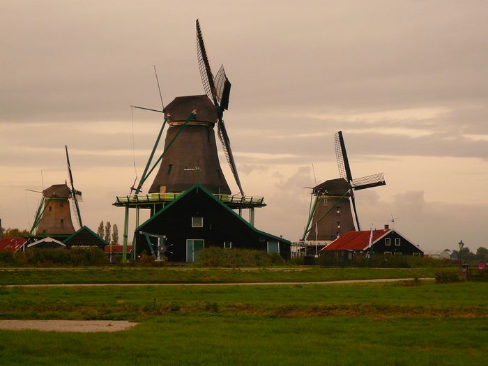 P1010690.jpg