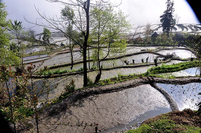 山寨梯田-2.jpg