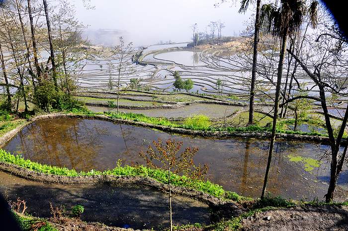 山寨梯田-3.jpg