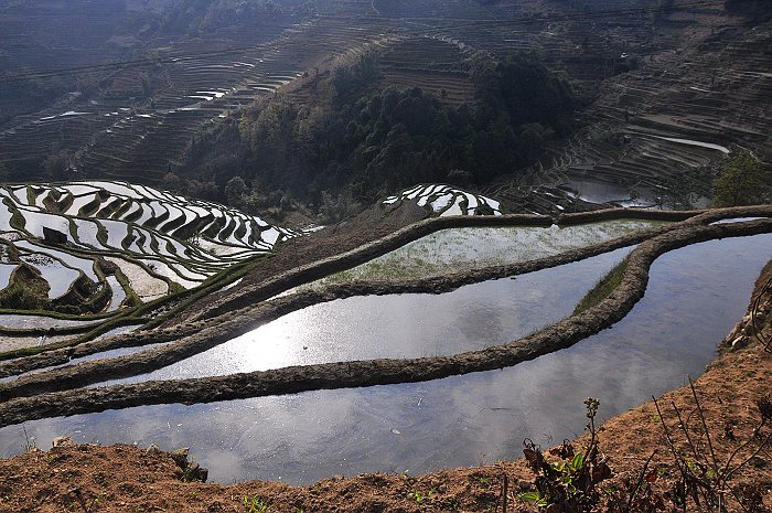 山寨梯田-4.jpg
