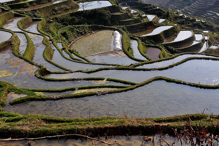 山寨梯田-8.jpg
