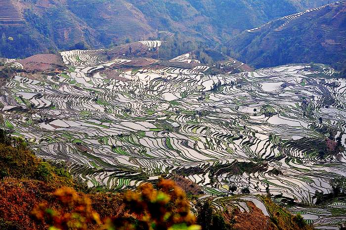 山寨叠嶂-.jpg
