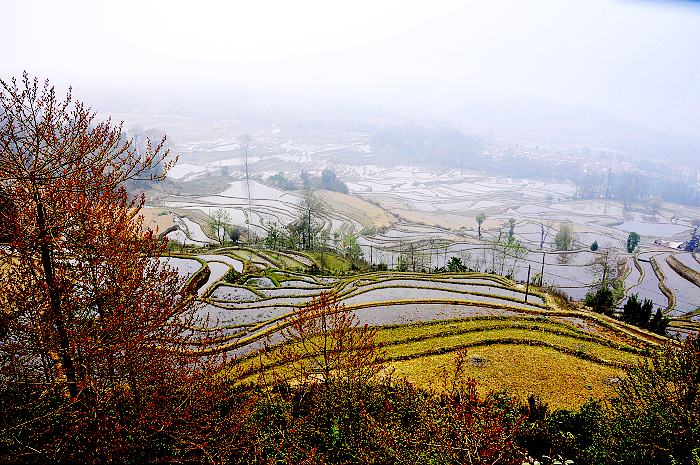 山寨梯田-.jpg