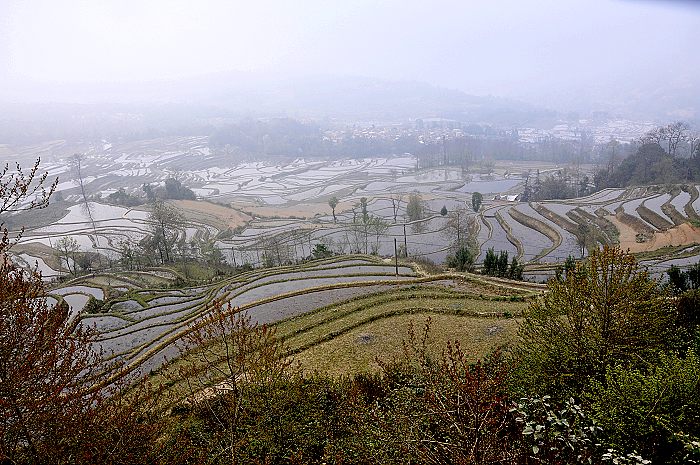 山寨雾霭-.jpg