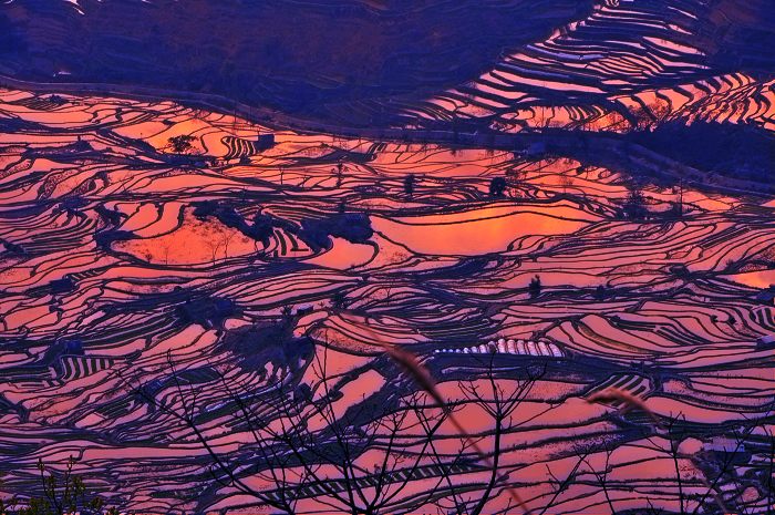 梯田夕照-.jpg