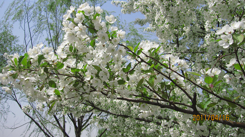 IMG_6765_副本.jpg