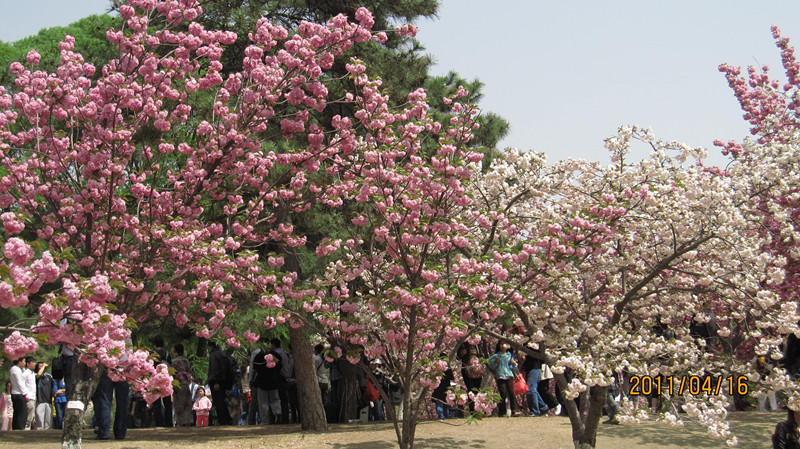 IMG_6771_副本.jpg