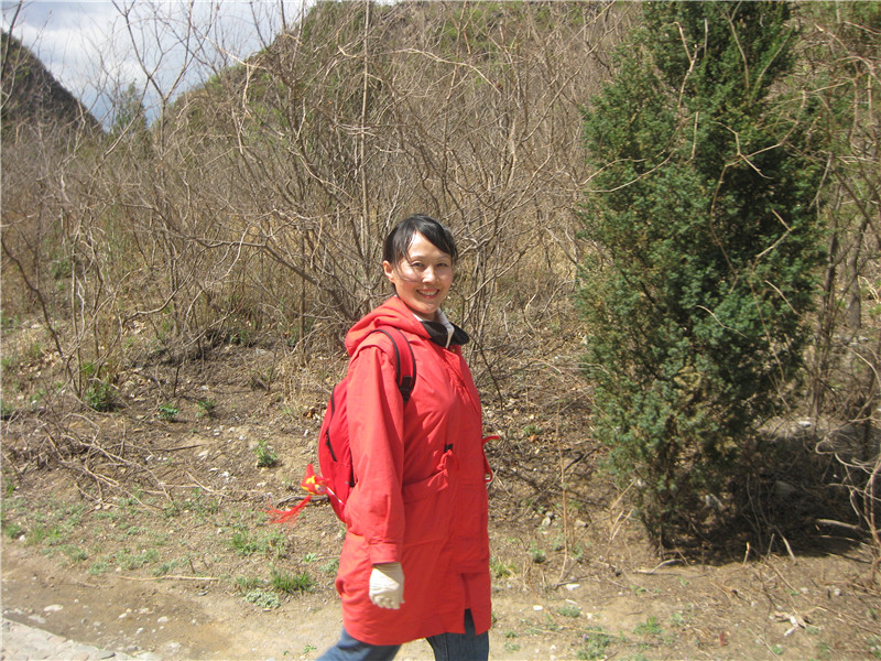 美女凤凰.jpg