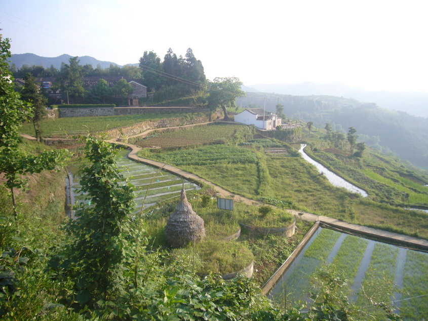 P1080150_缩小大小.JPG