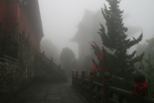 IMG_9128_conew1.jpg