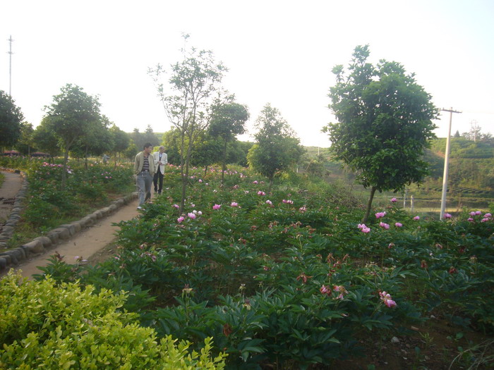 P1080136.jpg