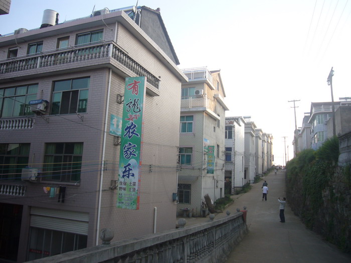 P1080133.jpg