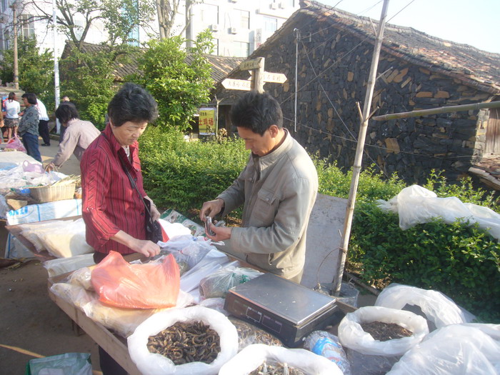 P1080157.jpg