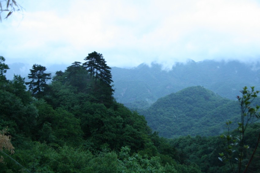 IMG_9189_conew1.jpg