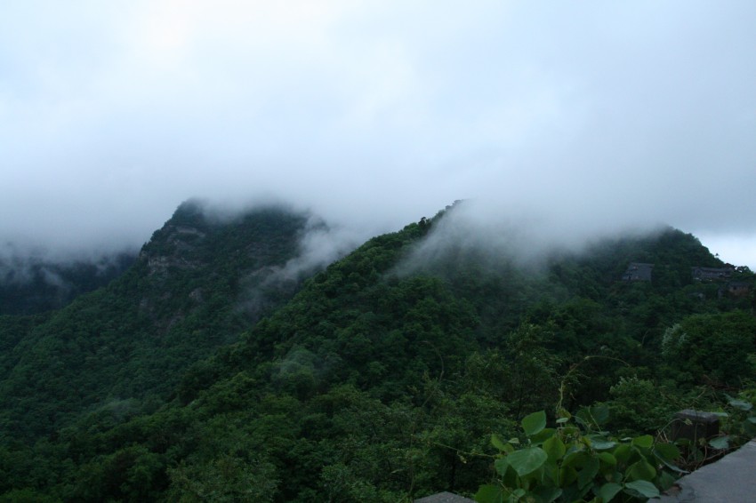 IMG_9205_conew1.jpg