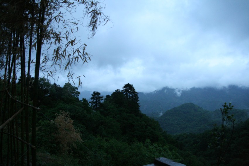 IMG_9188_conew1.jpg